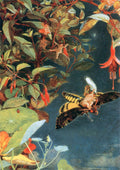Whimsical Fairies and Butterflies Rice Paper