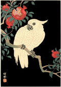 Midnight Cockatoo Large Format Decoupage Paper