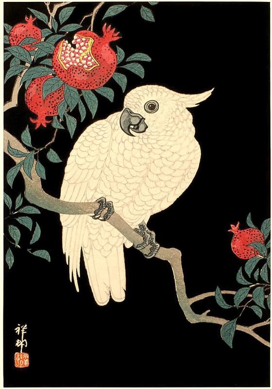 Midnight Cockatoo Large Format Decoupage Paper