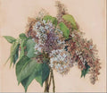 Lilac Decoupage Paper