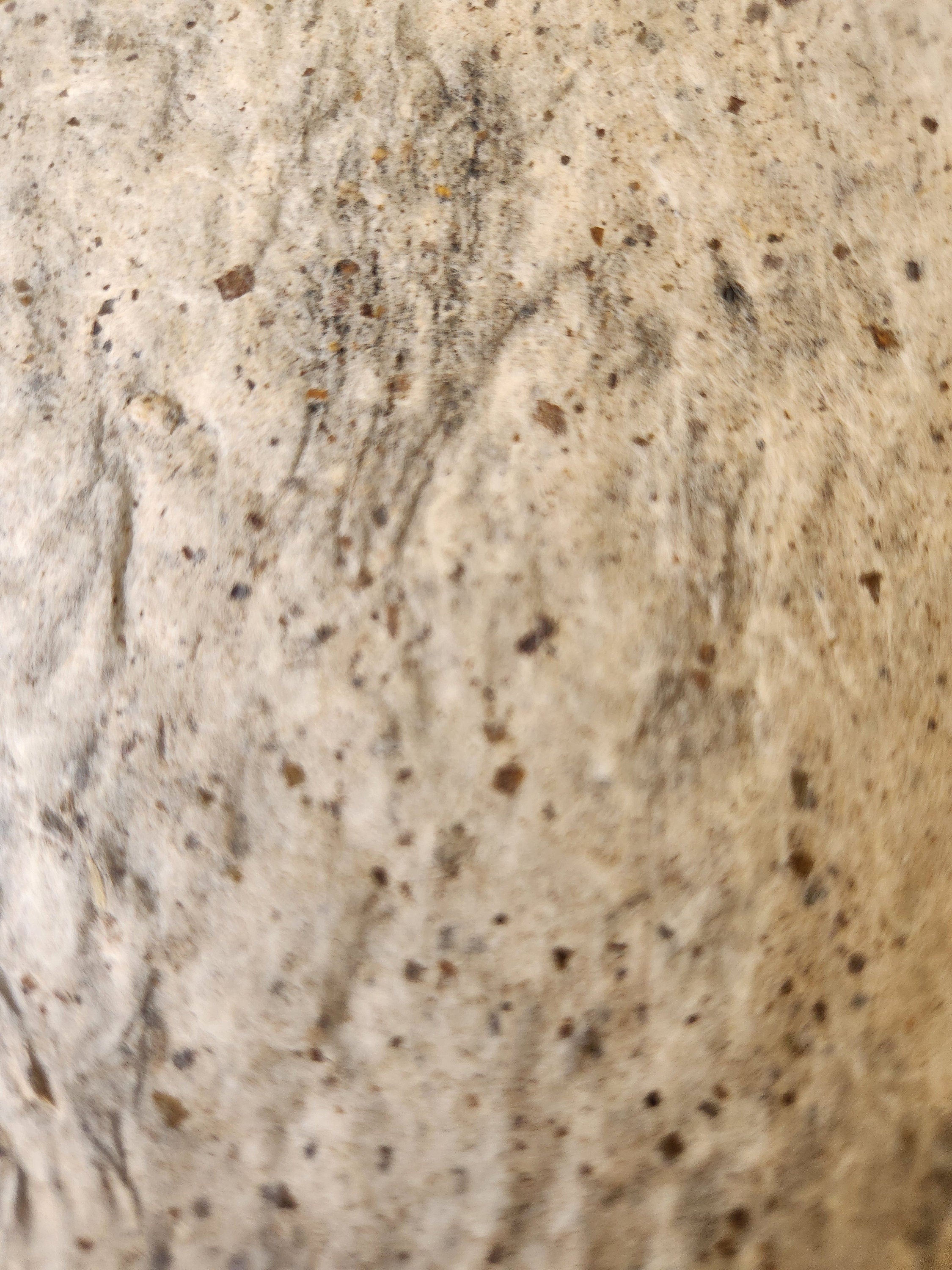 Handmade Mulberry Paper